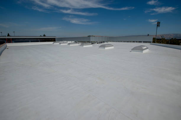 Best Skylight Installation and Repair  in Puxico, MO
